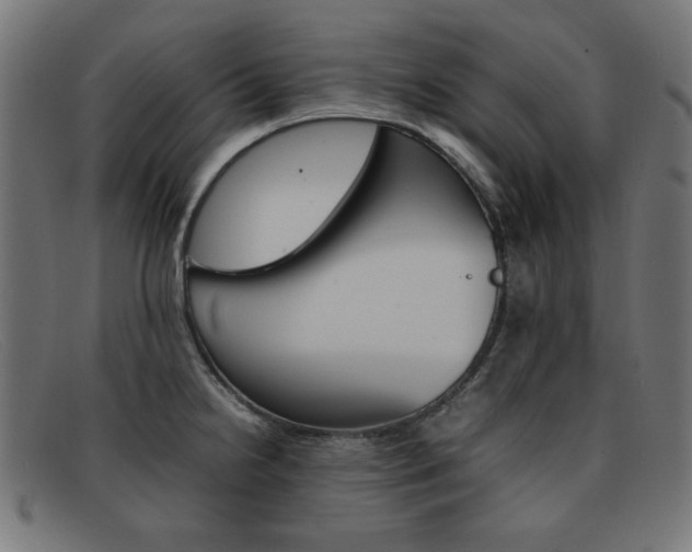 X0000092101238200709121103