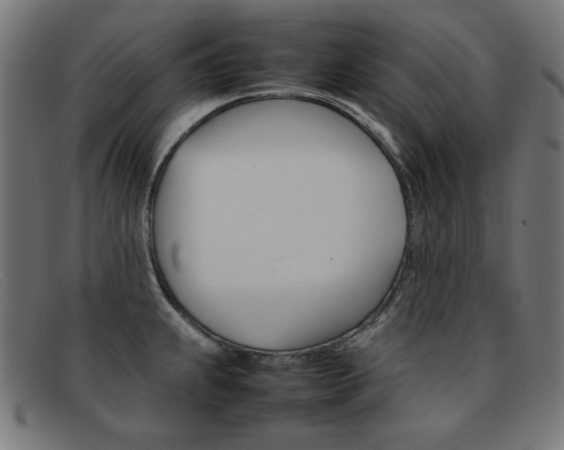 X0000092101239200709121103