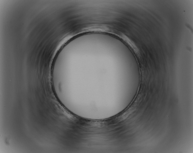 X0000092101240200709121103