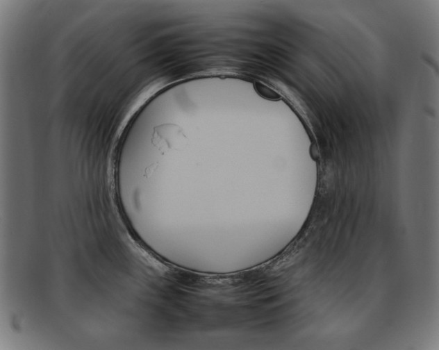 X0000092101243200709121103
