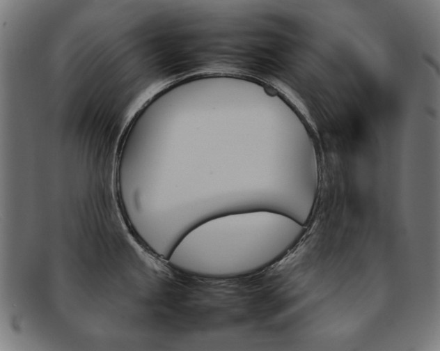 X0000092101245200709121103