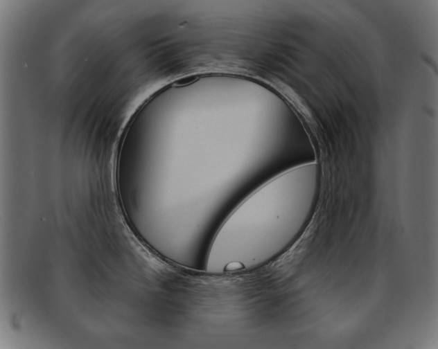 X0000092101246200709121103