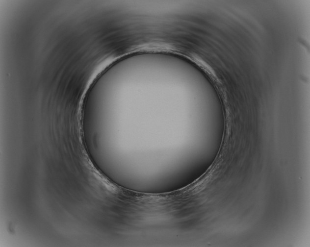 X0000092101248200709121103