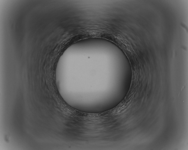 X0000092101249200709121103