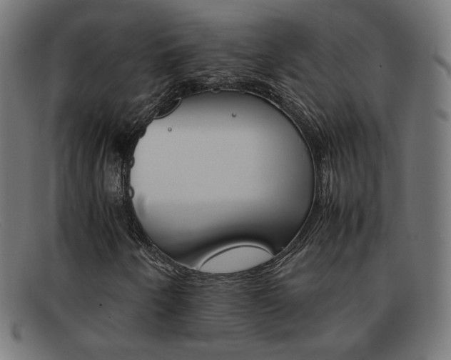 X0000092101250200709121103