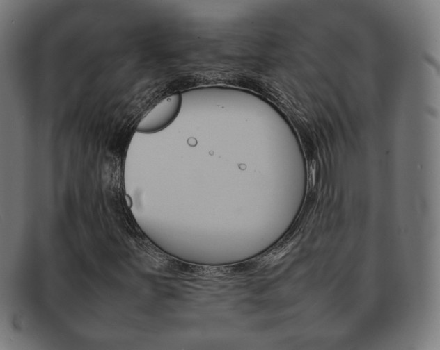 X0000092101251200709121102