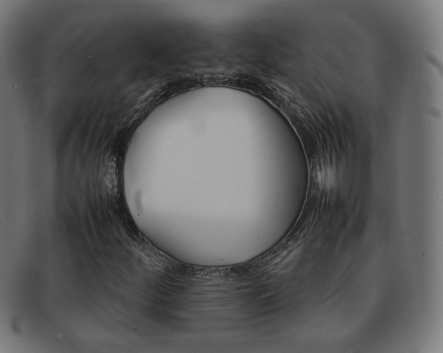X0000092101252200709121102