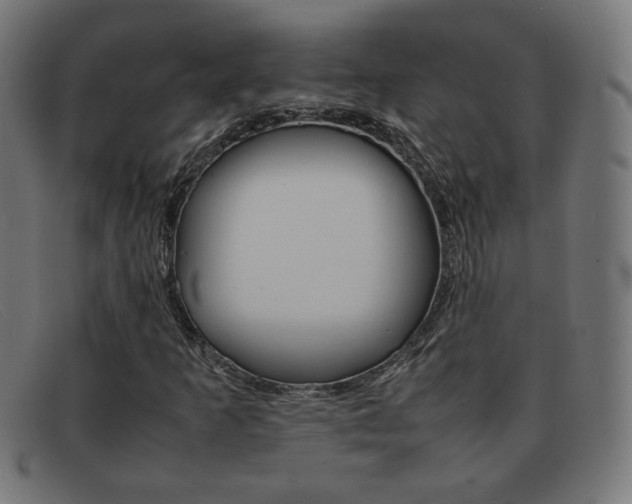 X0000092101253200709121102