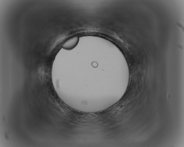 X0000092101255200709121102