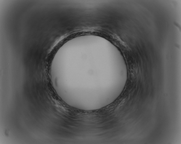 X0000092101256200709121102