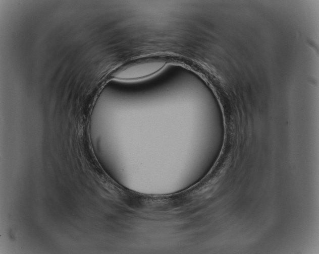 X0000092101257200709121102