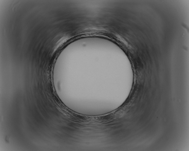 X0000092101259200709121102