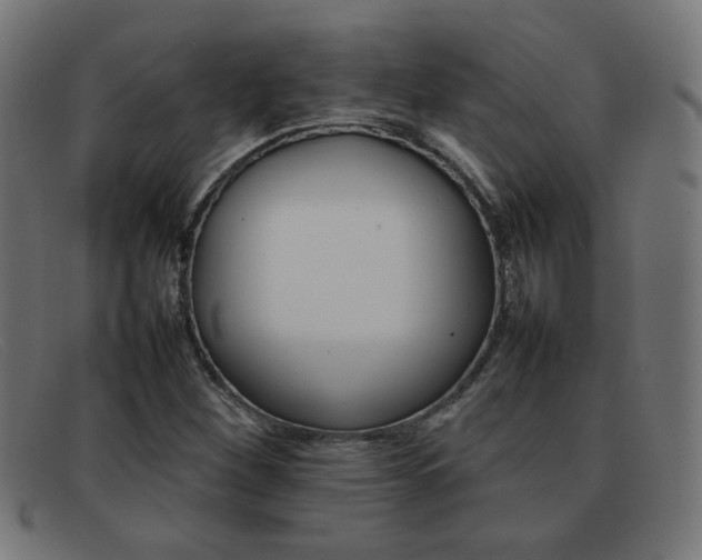 X0000092101260200709121102
