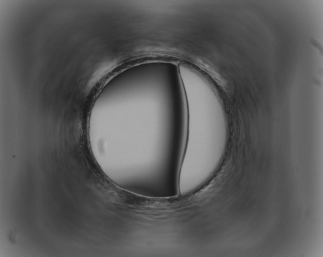 X0000092101261200709121102