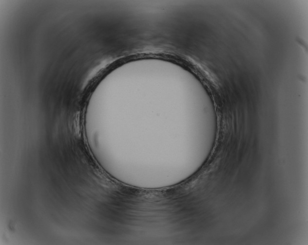 X0000092101262200709121102
