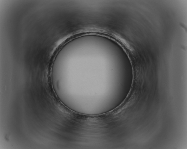 X0000092101264200709121102