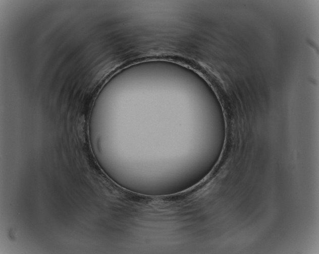 X0000092101265200709121102