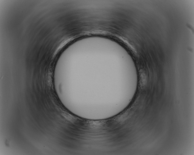 X0000092101266200709121102