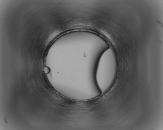 X0000092101267200709121102