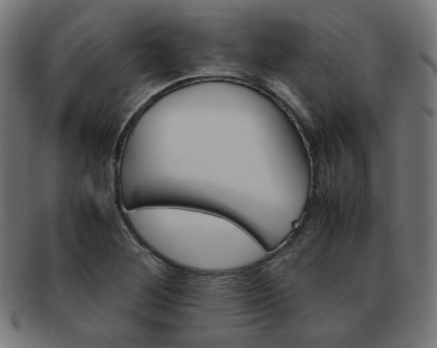 X0000092101268200709121102
