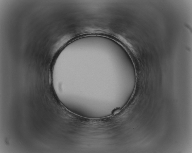 X0000092101269200709121102