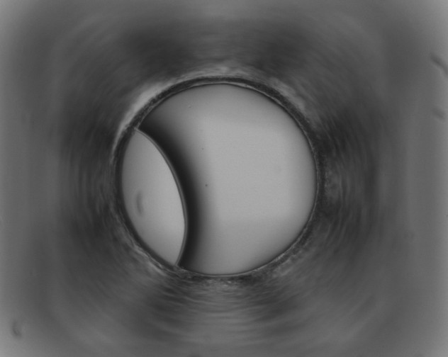 X0000092101270200709121102