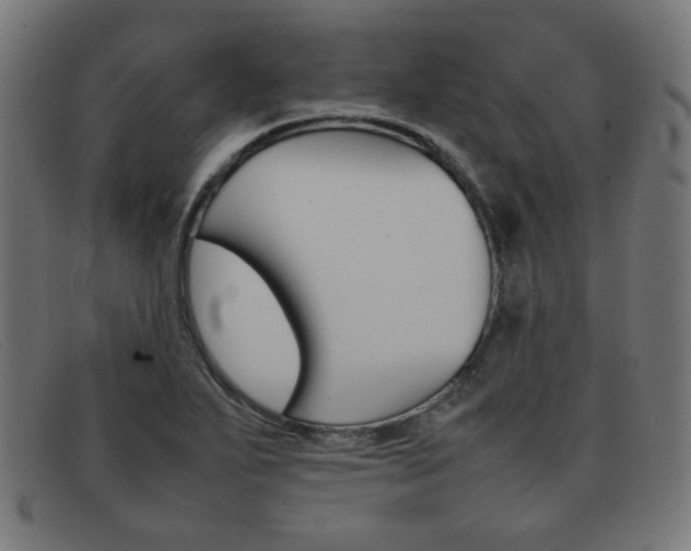 X0000092101271200709121102