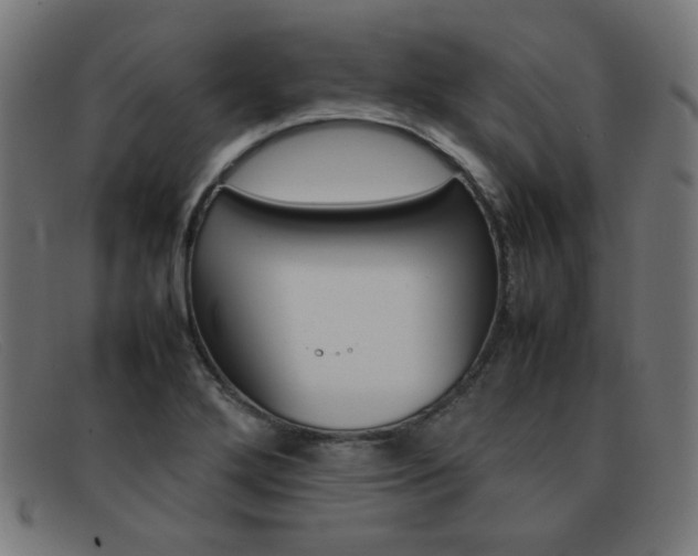 X0000092101272200709121102