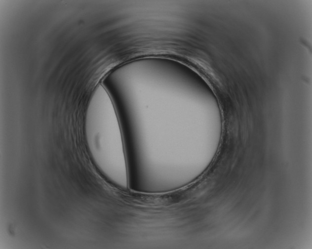 X0000092101273200709121102