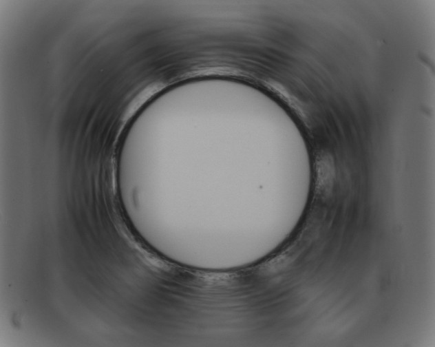 X0000092101274200709121102