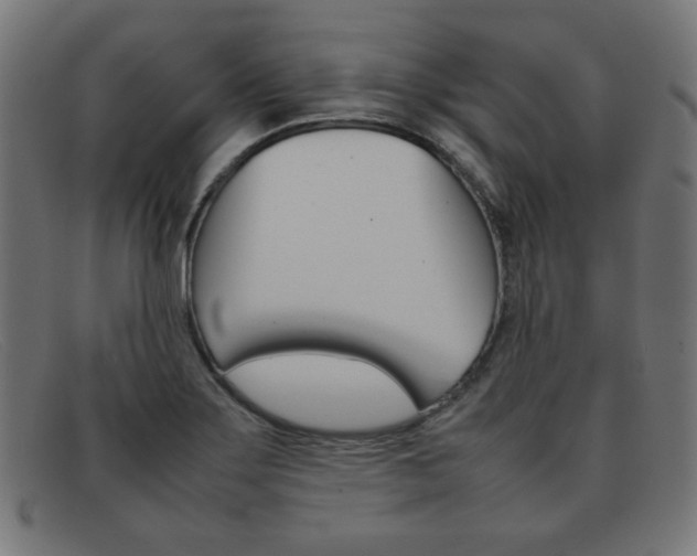X0000092101275200709121102