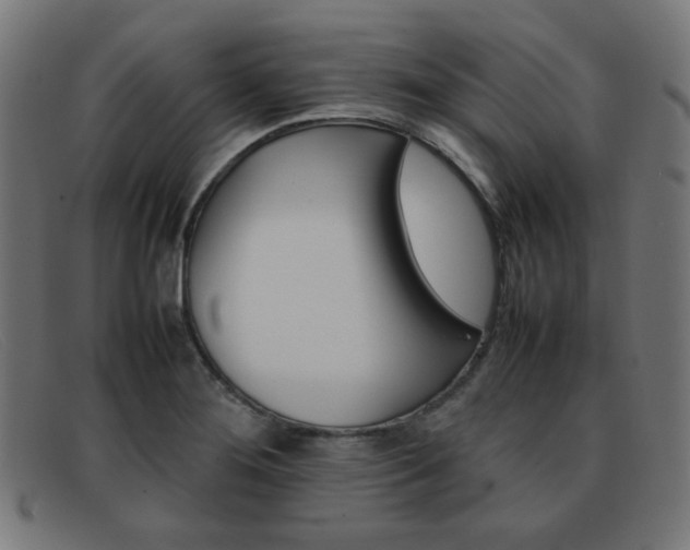 X0000092101276200709121102