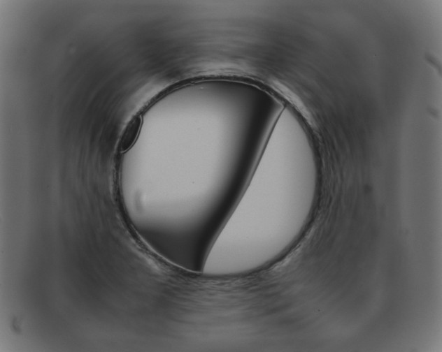 X0000092101277200709121102