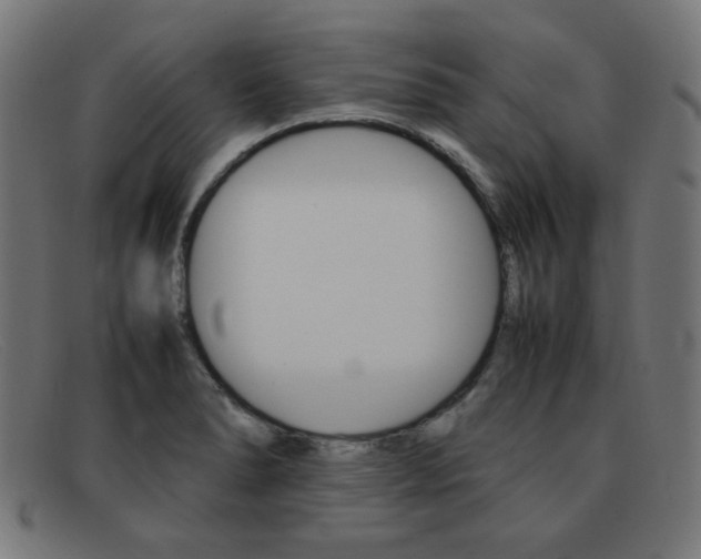 X0000092101278200709121102