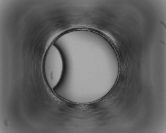 X0000092101279200709121102
