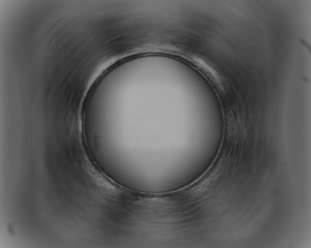 X0000092101280200709121102