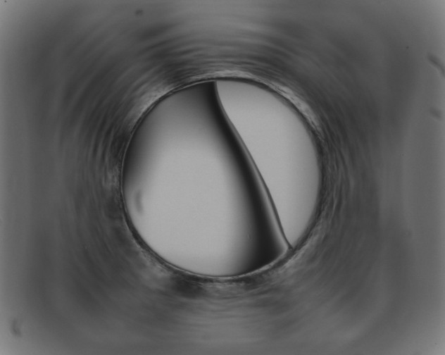 X0000092101281200709121102