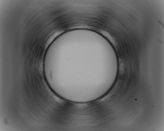 X0000092101282200709121102