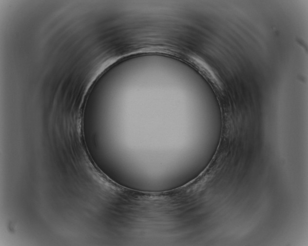X0000092101284200709121102