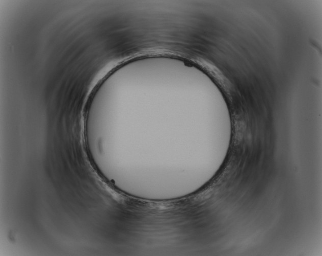 X0000092101286200709121102