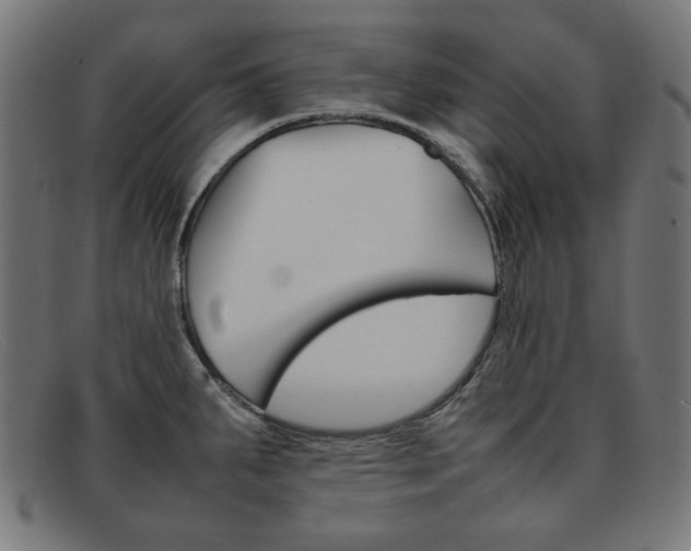 X0000092101287200709121102