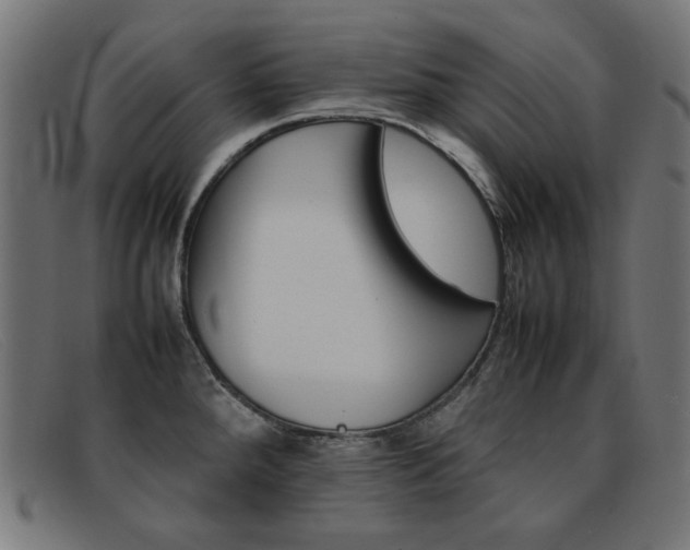 X0000092101288200709121102