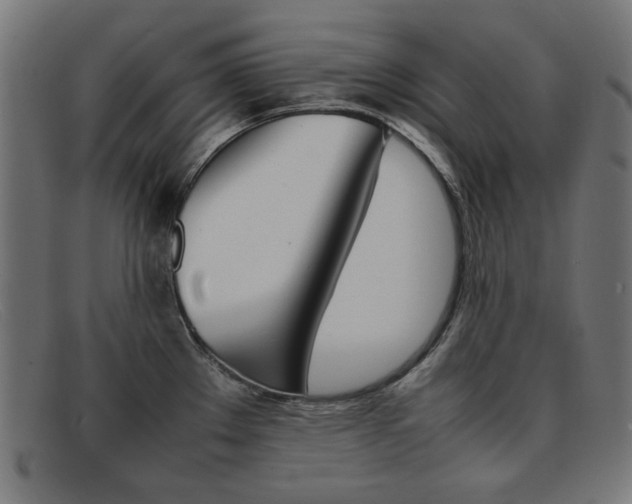 X0000092101289200709121102