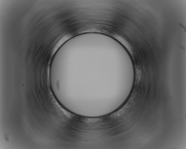 X0000092101290200709121102