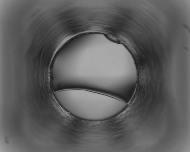 X0000092101292200709121102