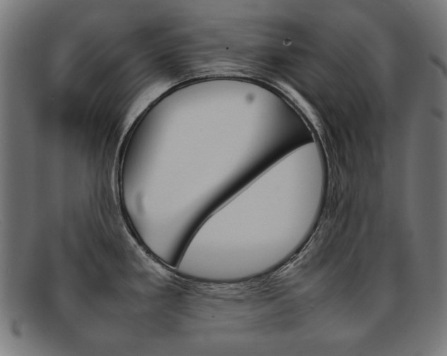 X0000092101293200709121102