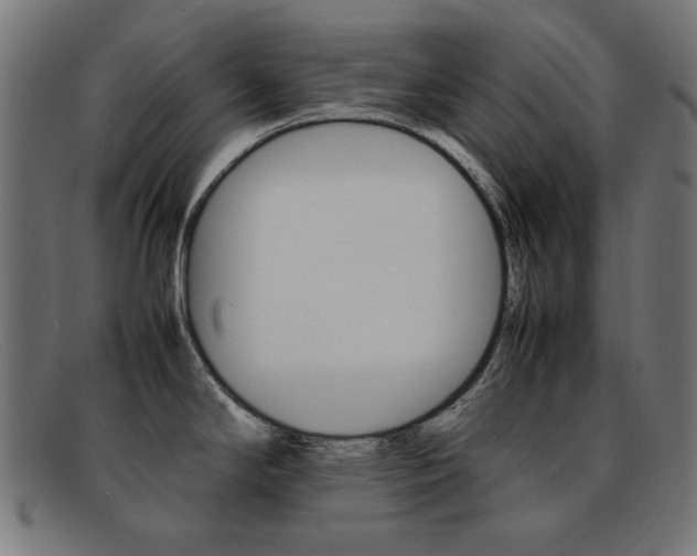 X0000092101294200709121102