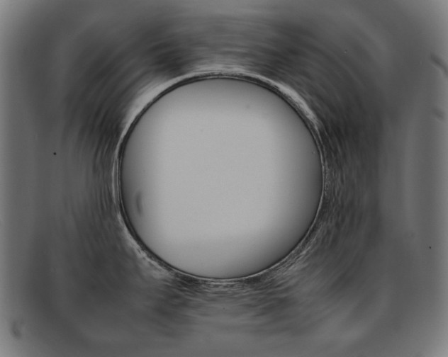 X0000092101295200709121102
