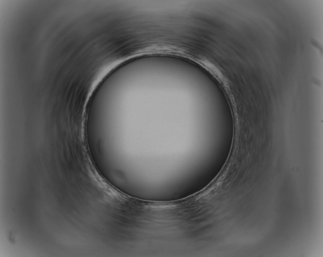 X0000092101296200709121102