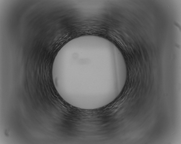 X0000092101298200709121101